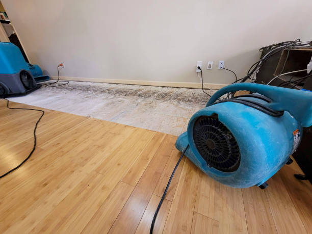 Professional Flood Damage Cleanup technician working in Big Bear Lake, CA